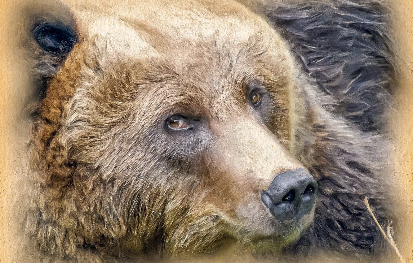 Photo wallpaper face, bear, stylized painting