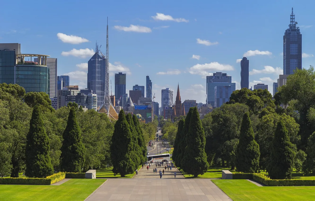 Photo wallpaper trees, the city, Australia, Melbourne