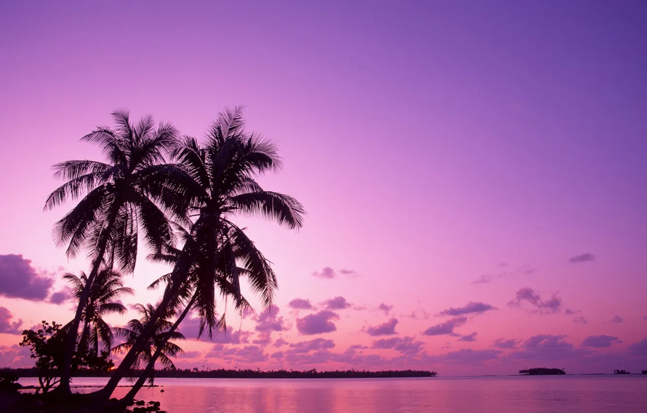 Photo wallpaper sunrise, vacation, Palm trees