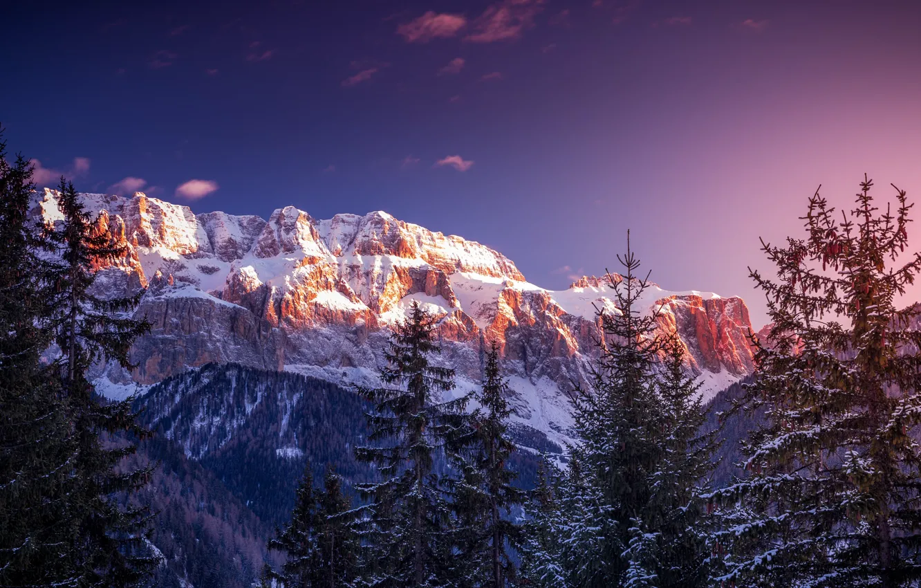 Photo wallpaper winter, forest, snow, trees, nature, Italy, The Dolomites