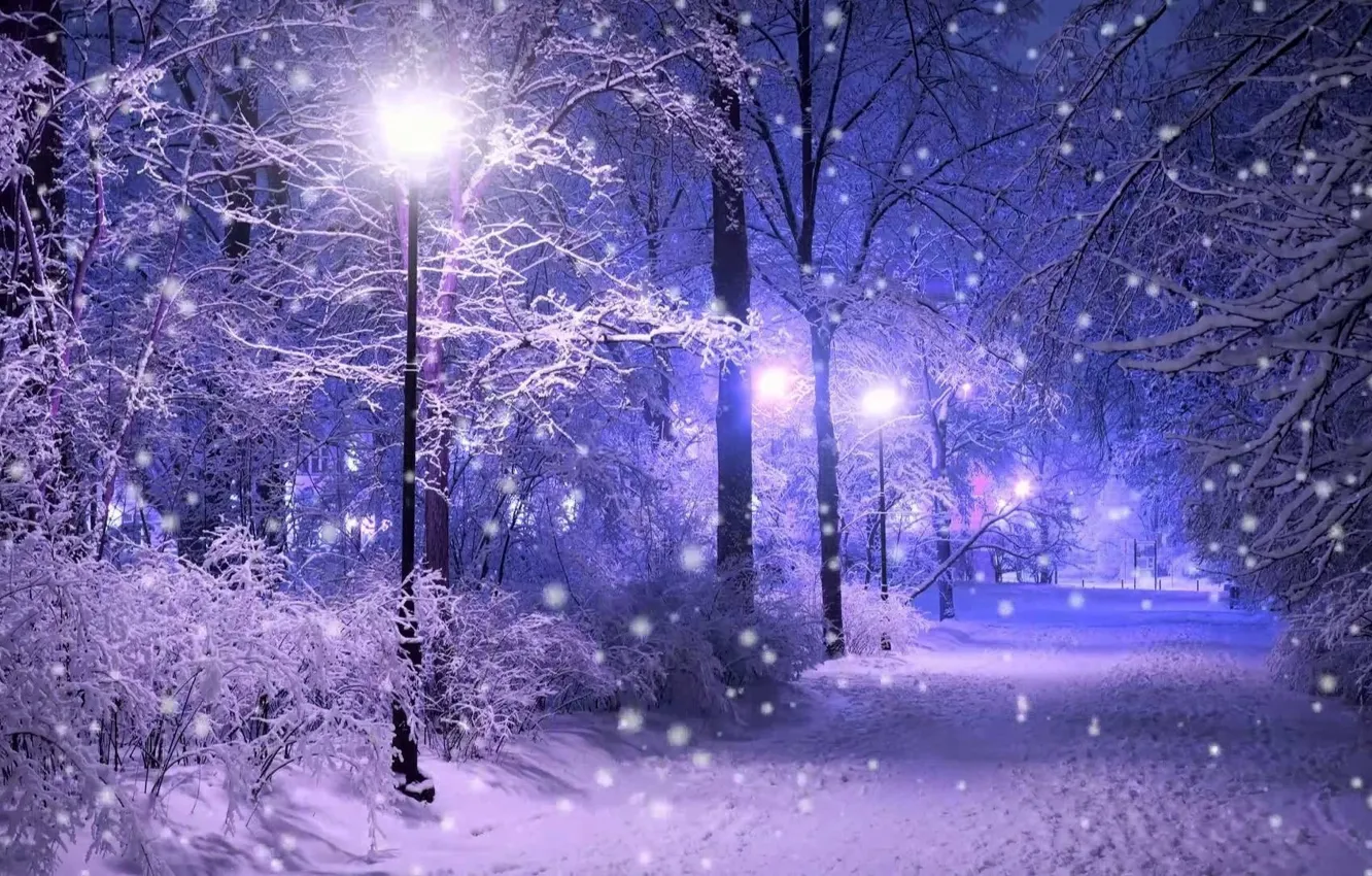 Photo wallpaper winter, forest, light, snow, trees, the evening, lights, track