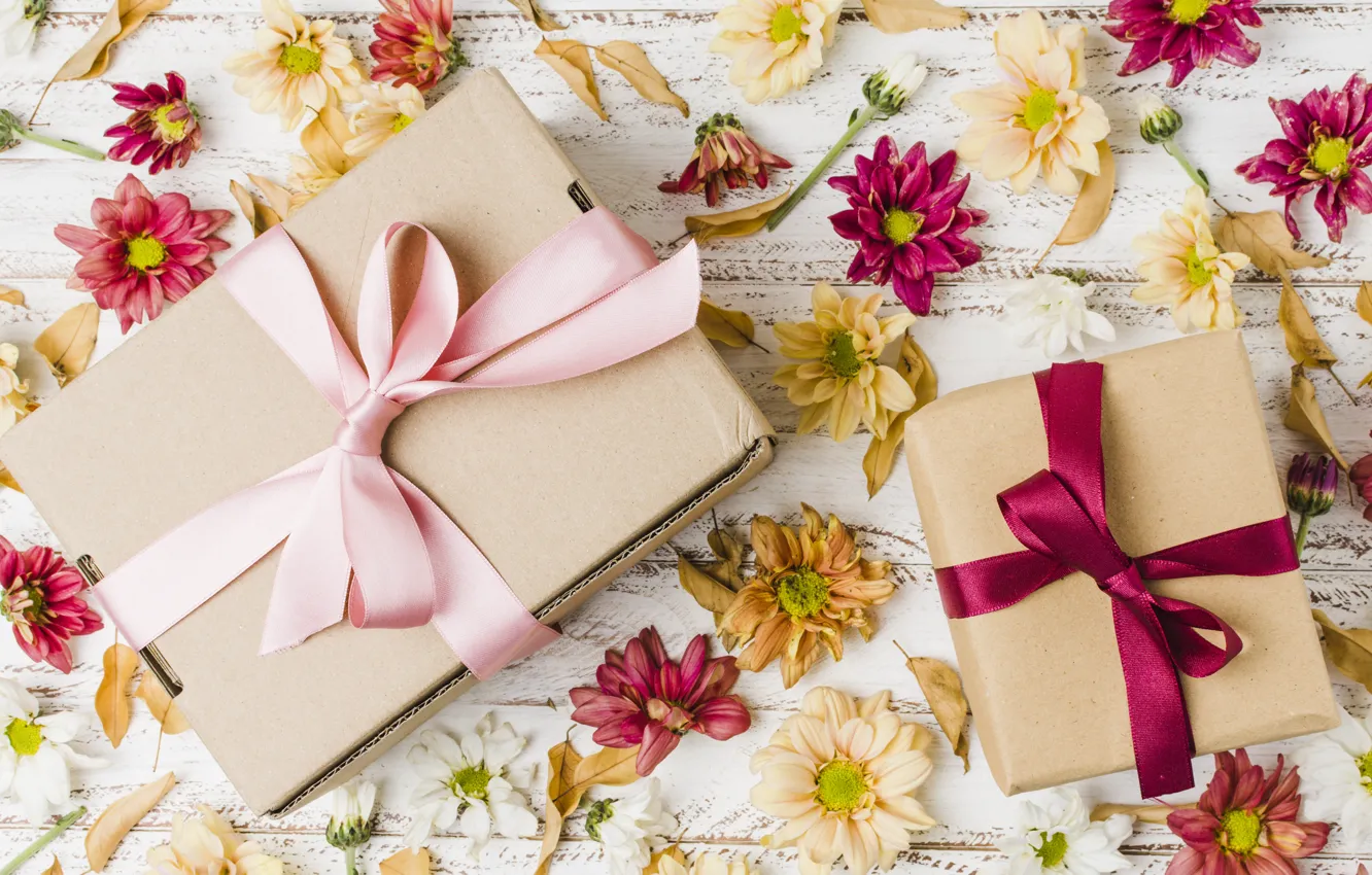 Photo wallpaper flowers, gift, colorful, chrysanthemum, flowers, gift box