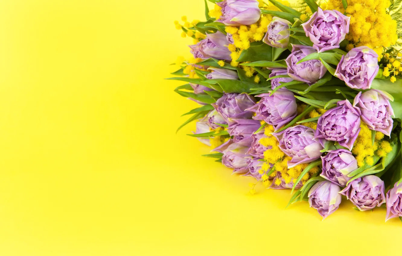 Photo wallpaper yellow, background, bouquet, tulips, Mimosa