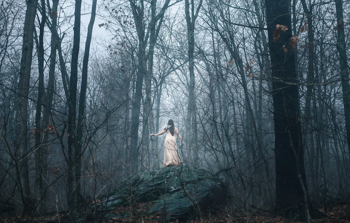 Photo wallpaper forest, girl, fog, stone, insect, Aleah Michele
