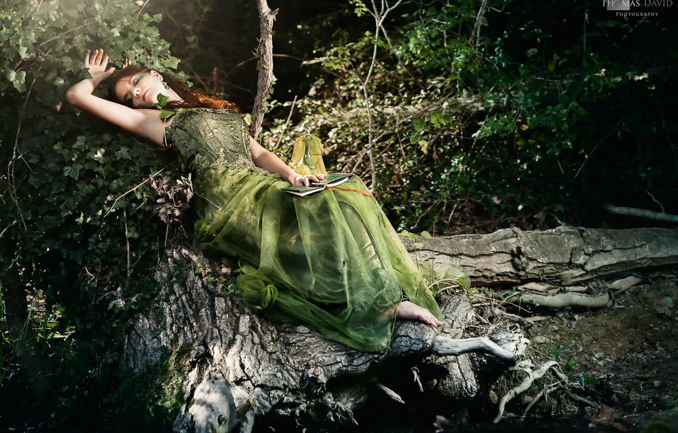 Photo wallpaper girl, background, book