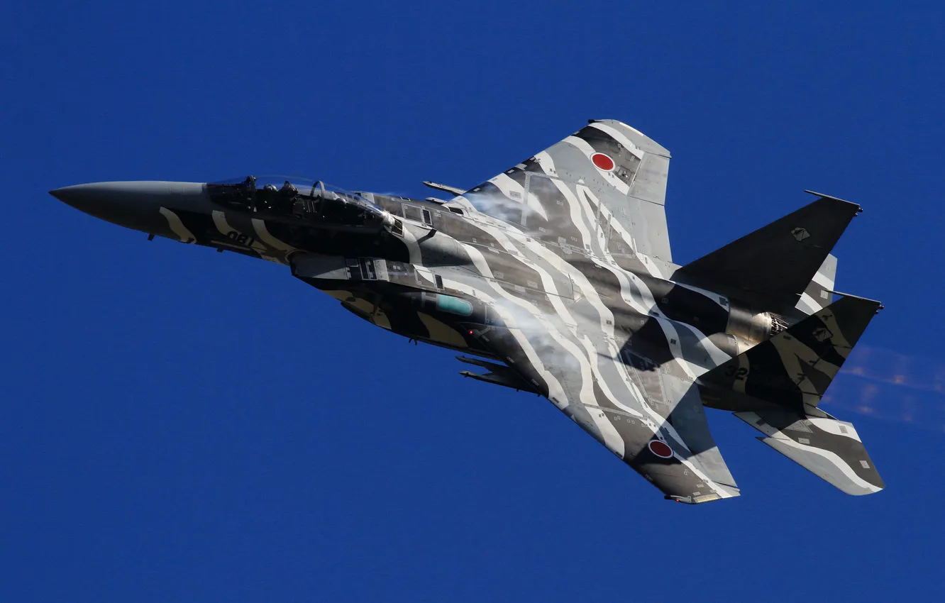 Photo wallpaper flight, fighter, Mitsubishi, BBC Japan, F-15DJ