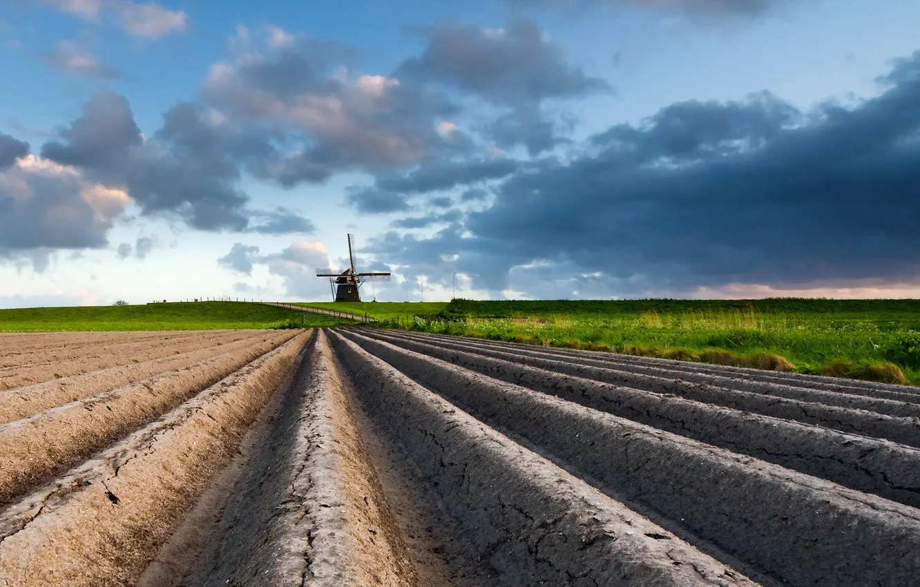 Photo wallpaper field, landscape, mill, arable land