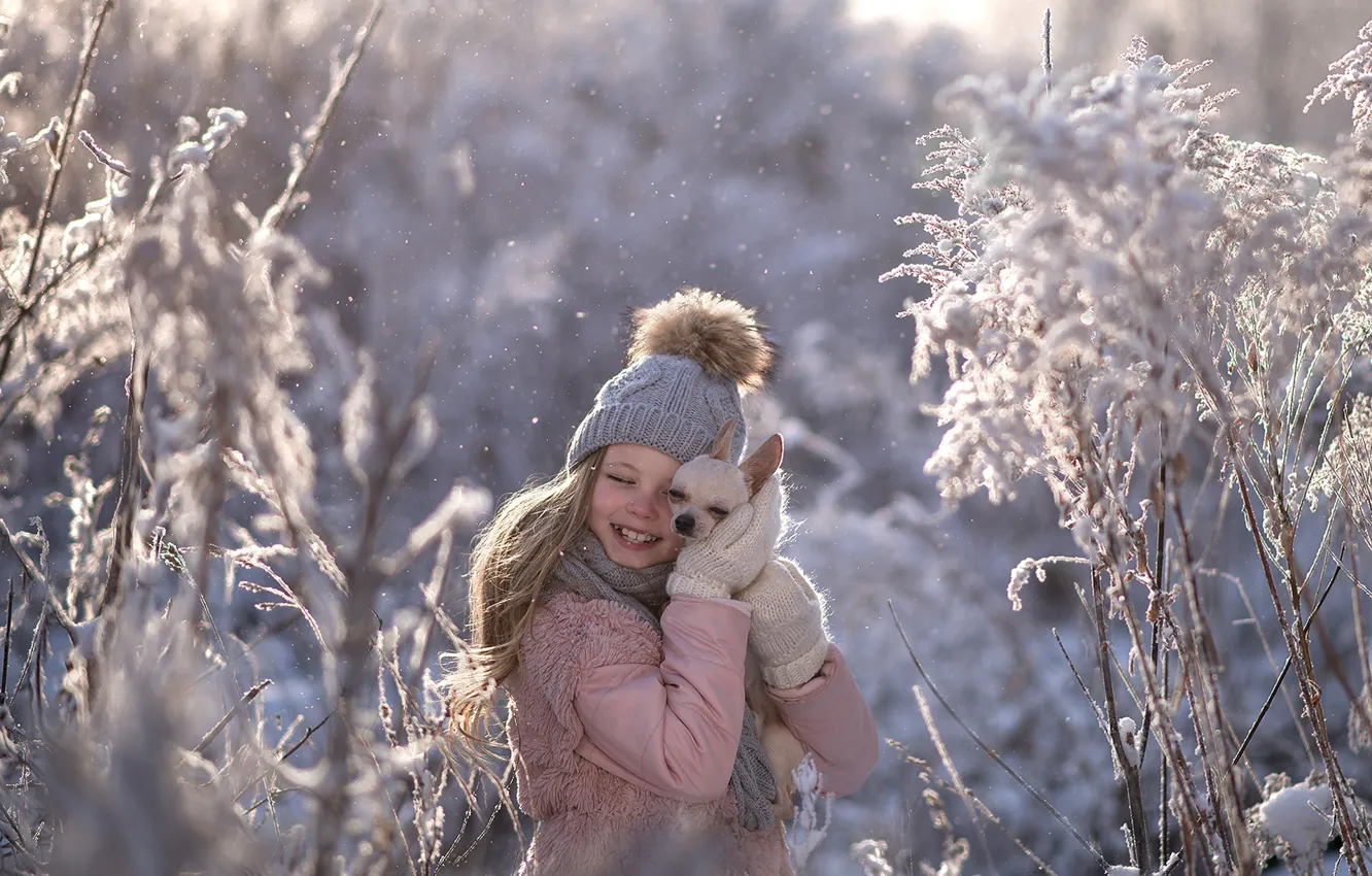 Photo wallpaper winter, joy, each, mood, dog, friendship, girl, Chihuahua