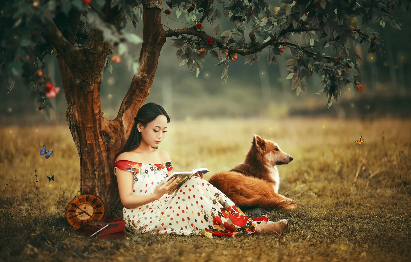 Photo wallpaper girl, background, dog