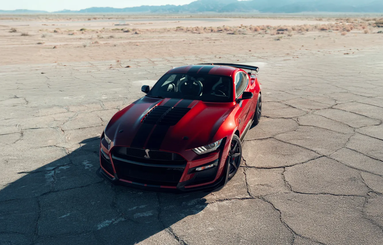 Photo wallpaper Mustang, Ford, Shelby, GT500