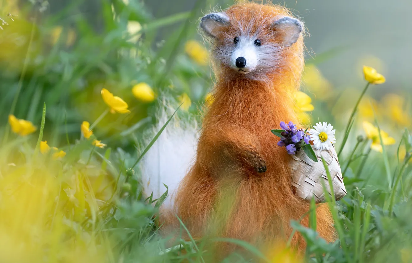 Photo wallpaper flowers, animal, toy, red, basket, animal, Milota, felt