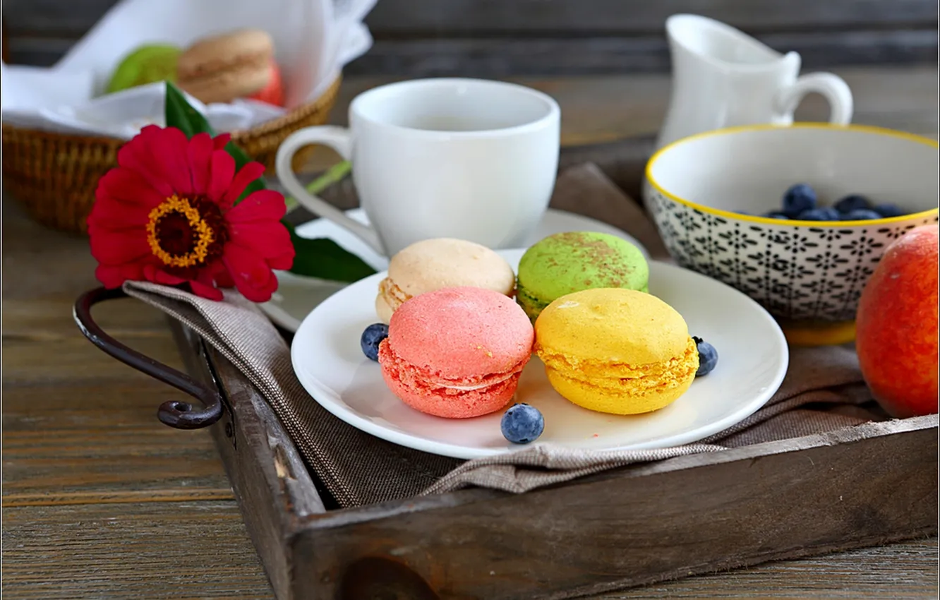 Photo wallpaper flowers, food, Cup, sweets, flowers, flowers, macaroon, macaroon