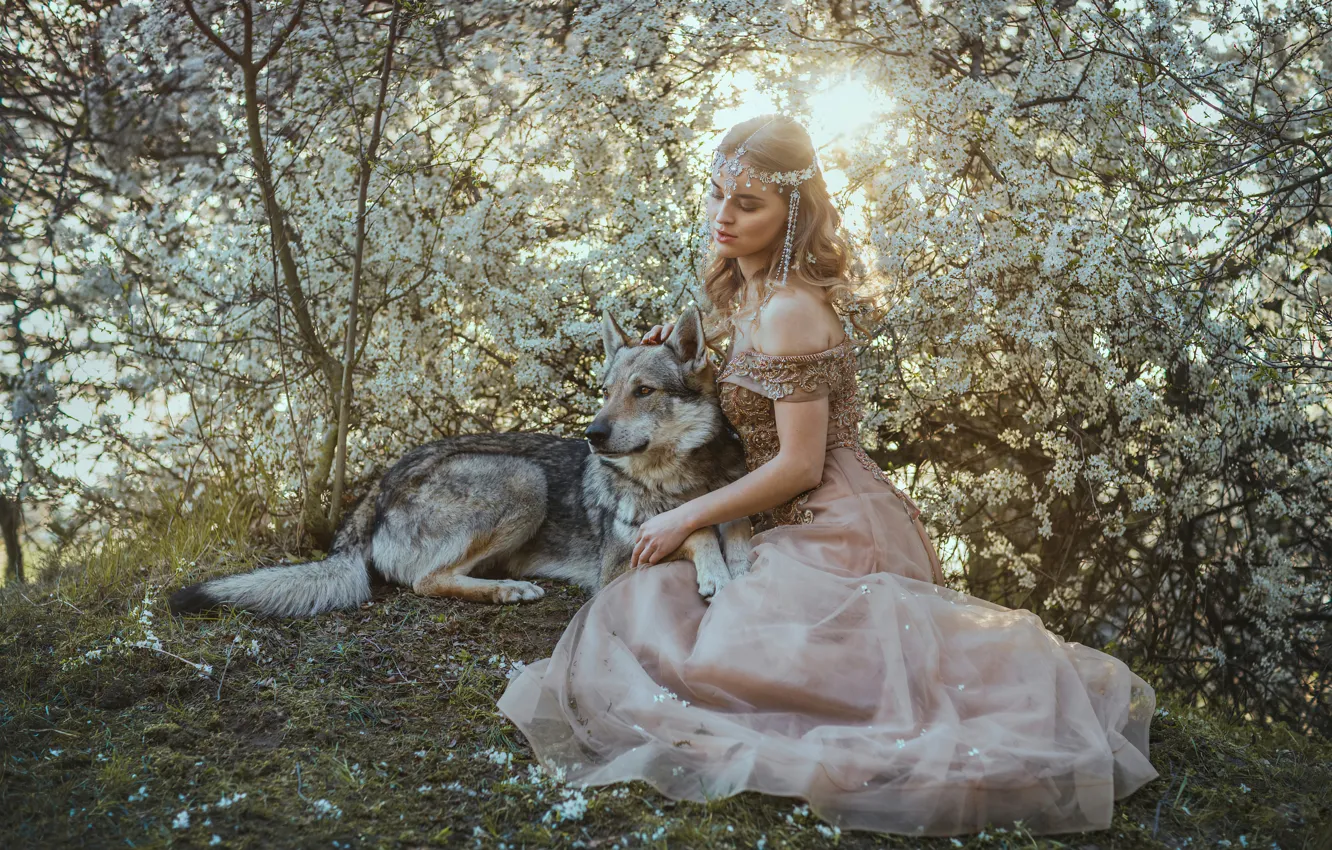 Photo wallpaper grass, girl, light, decoration, flowers, branches, cherry, pose