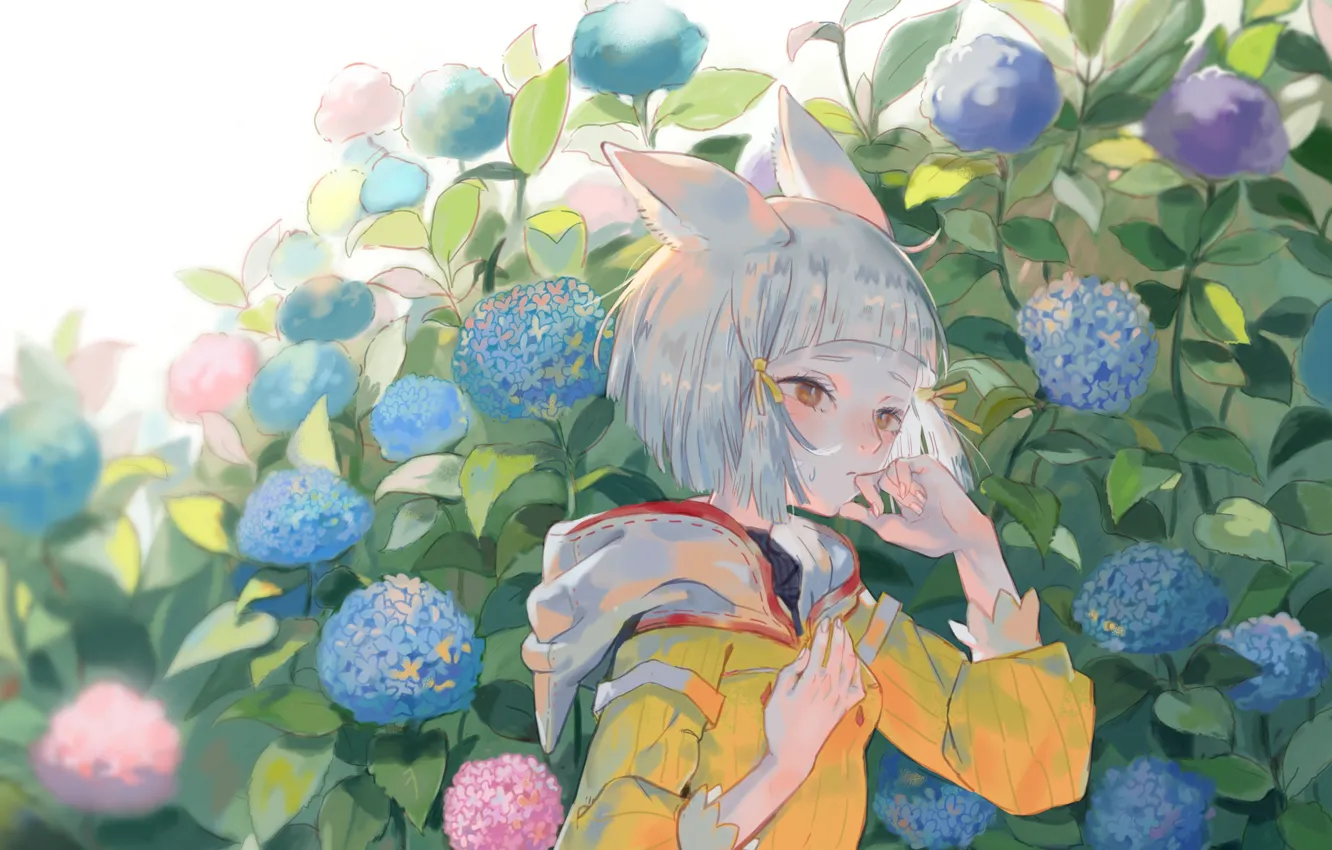 Photo wallpaper girl, ears, hydrangea, Xenoblade 2, Niyah