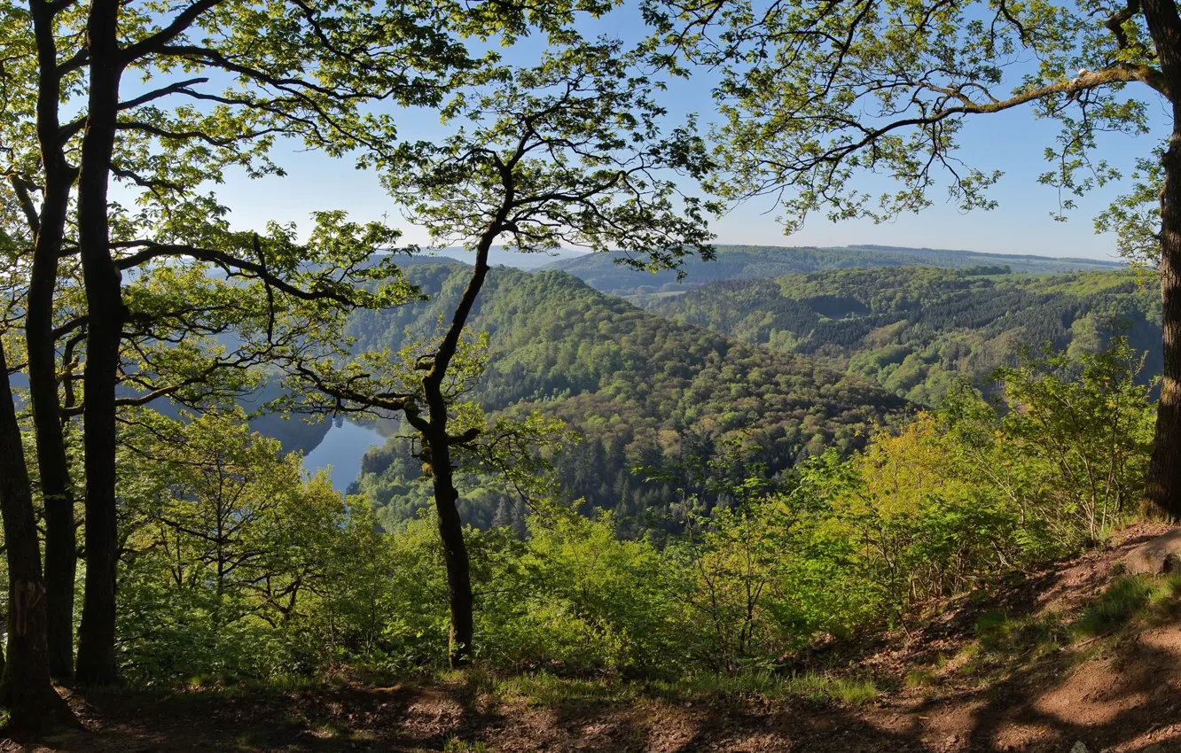 Wallpaper forest, trees, mountains, Germany, panorama, Germany, Saar ...