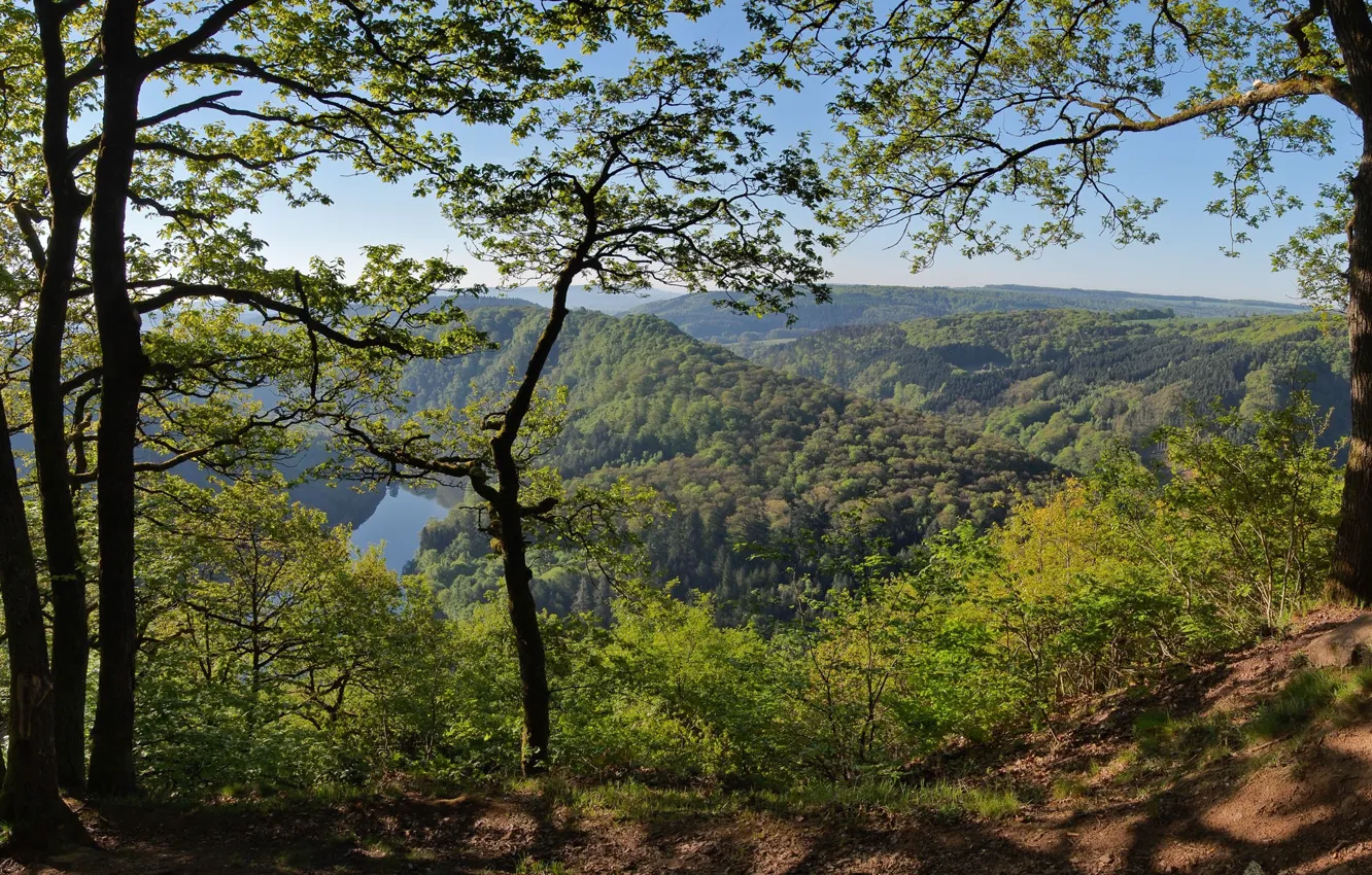 Photo wallpaper forest, trees, mountains, Germany, panorama, Germany, Saar, Saarschleife