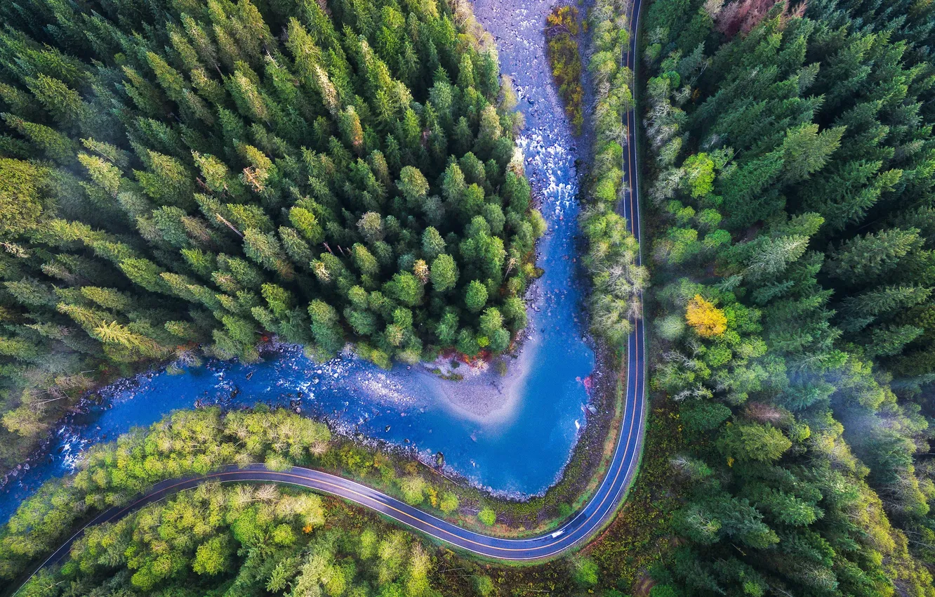 Photo wallpaper road, forest, trees, landscape, nature, river, plant, valley