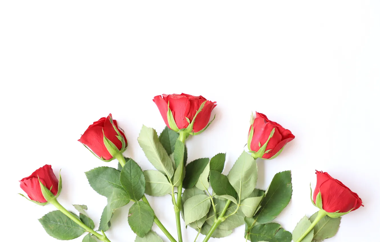 Photo wallpaper love, flowers, red, roses, bouquet, red, wood, flowers