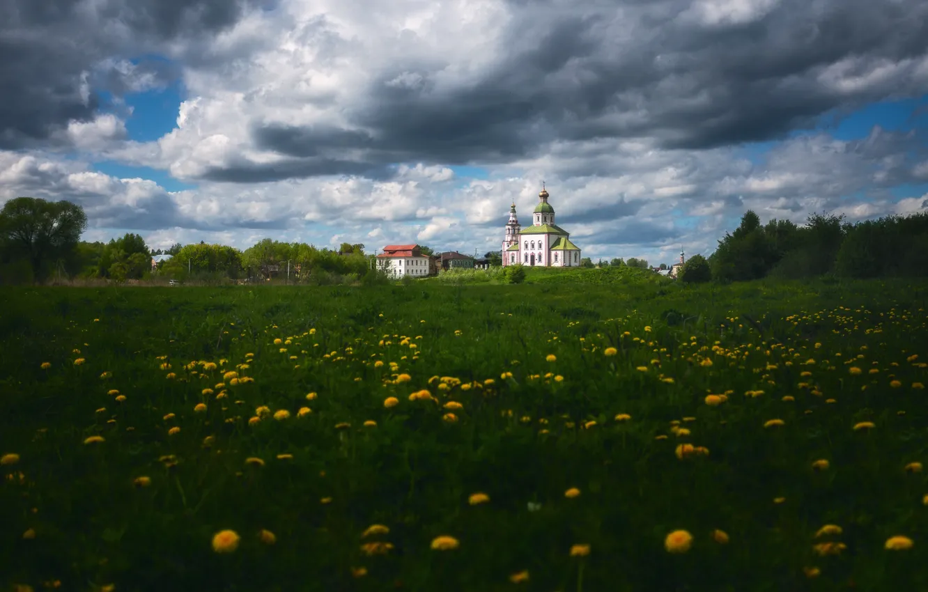 Photo wallpaper field, dandelion, Church