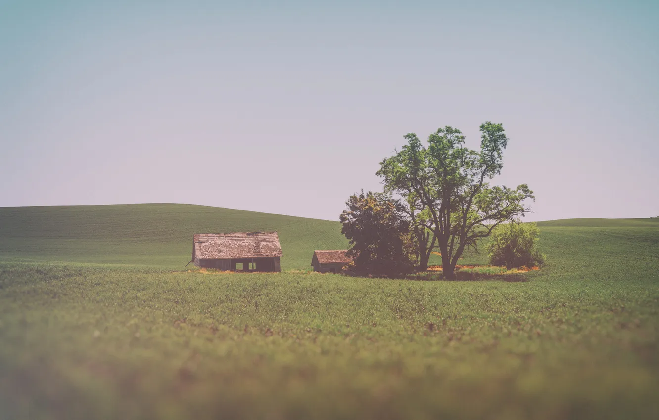 Photo wallpaper field, the sky, trees, home, abandoned, solar, farm countryside