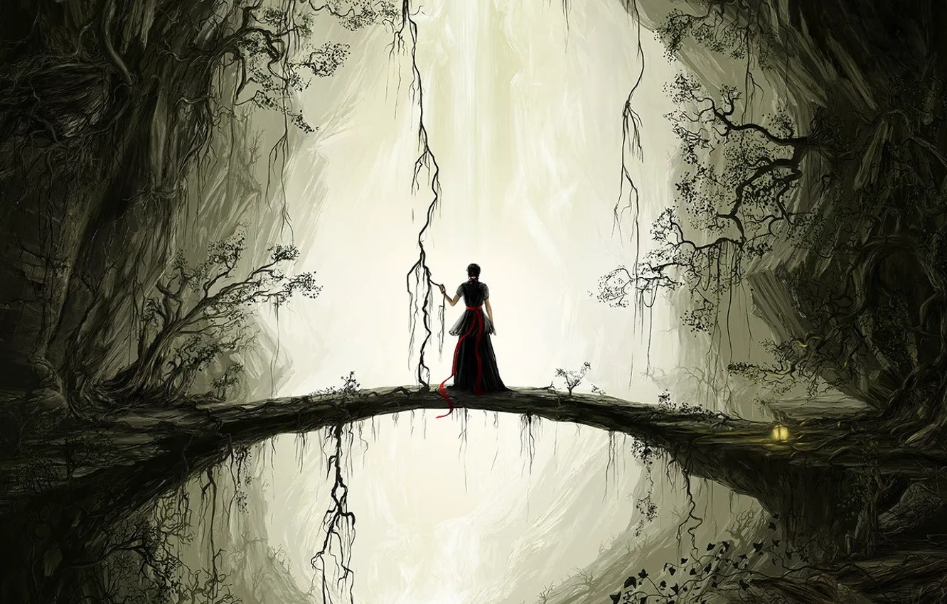 Photo wallpaper bridge, rocks, figure, plant