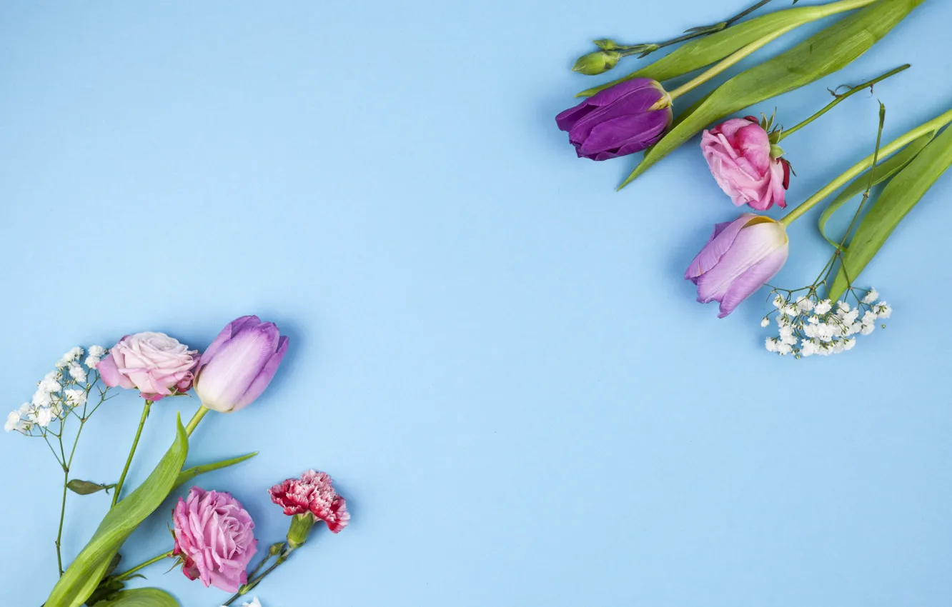 Photo wallpaper flowers, roses, purple, tulips, pink, pink, flowers, beautiful