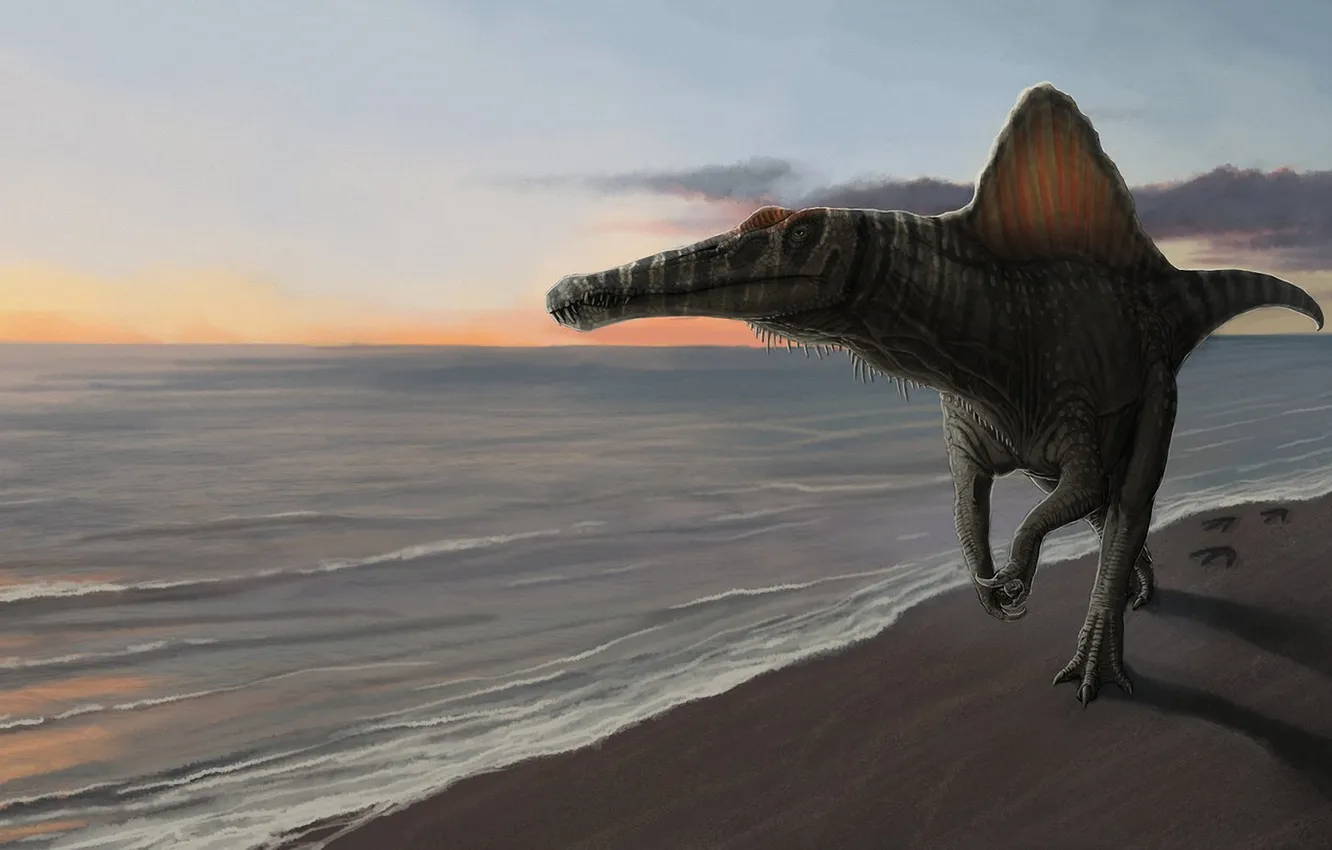 Photo wallpaper sea, sunset, shore, dinosaur, art, Spinosaurus, Spinosaurus