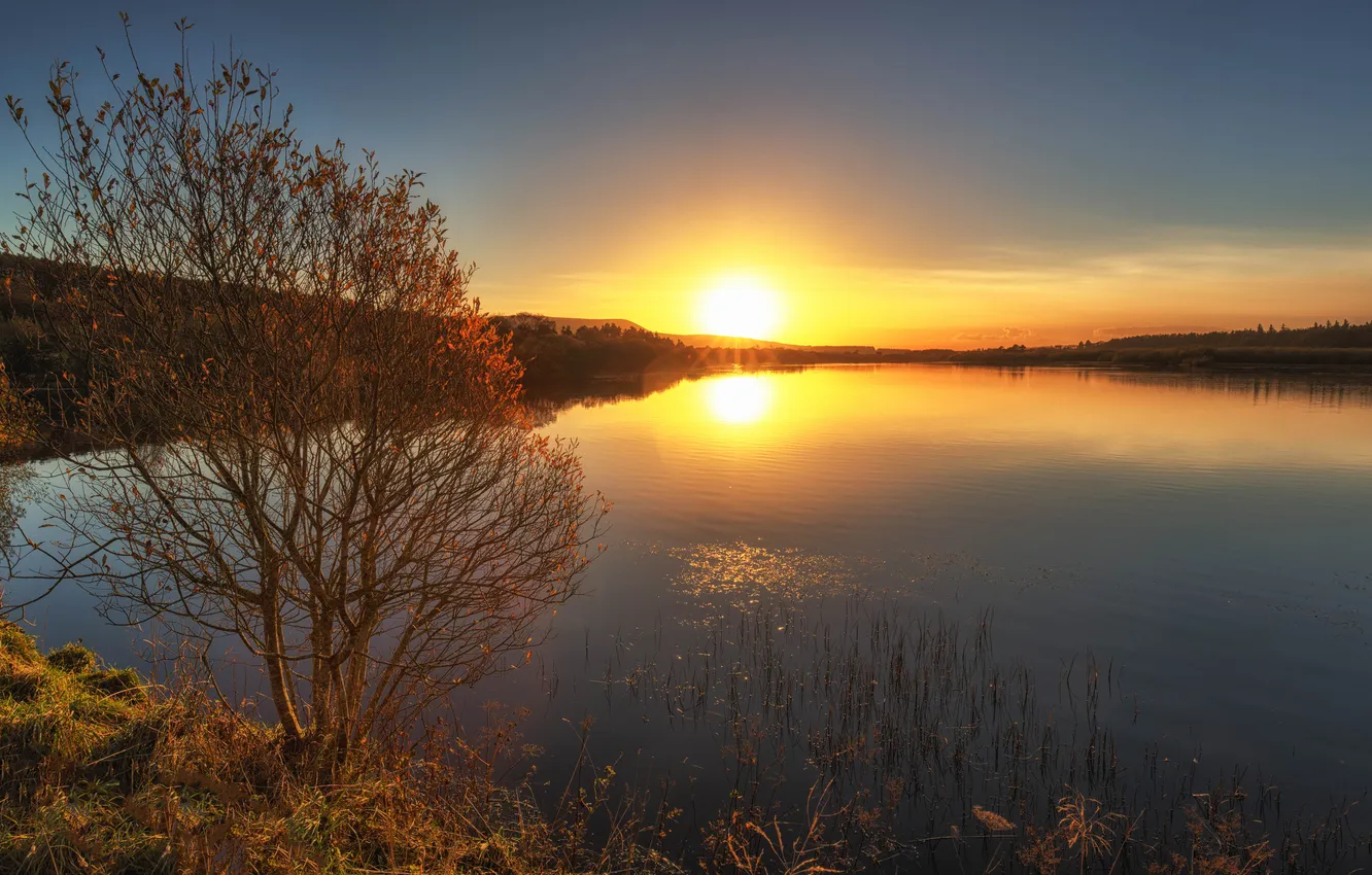 Photo wallpaper the sky, the sun, trees, sunset, lake