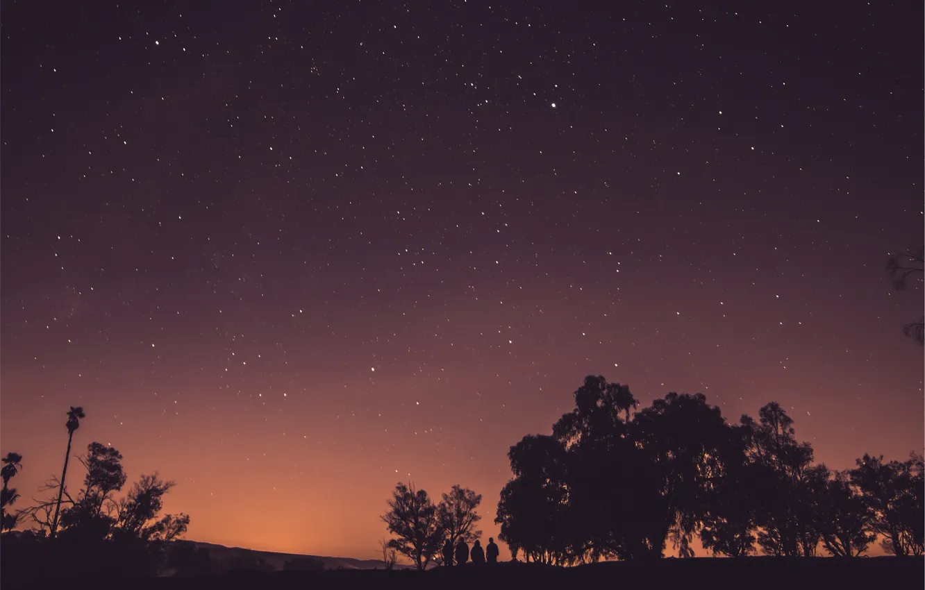 Photo wallpaper the sky, stars, night, starry sky, The Pleiades