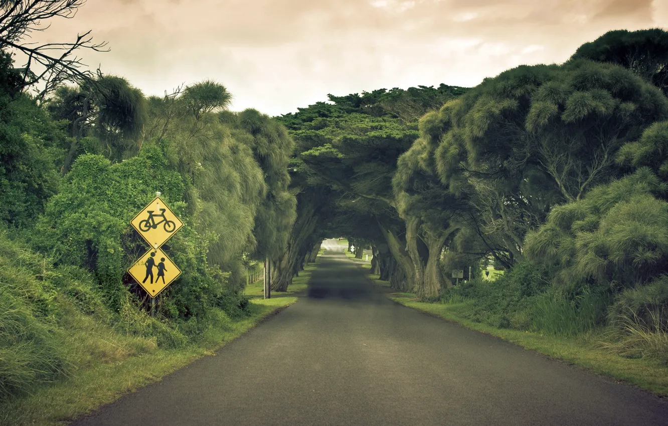 Photo wallpaper road, greens, grass, asphalt, sign, home