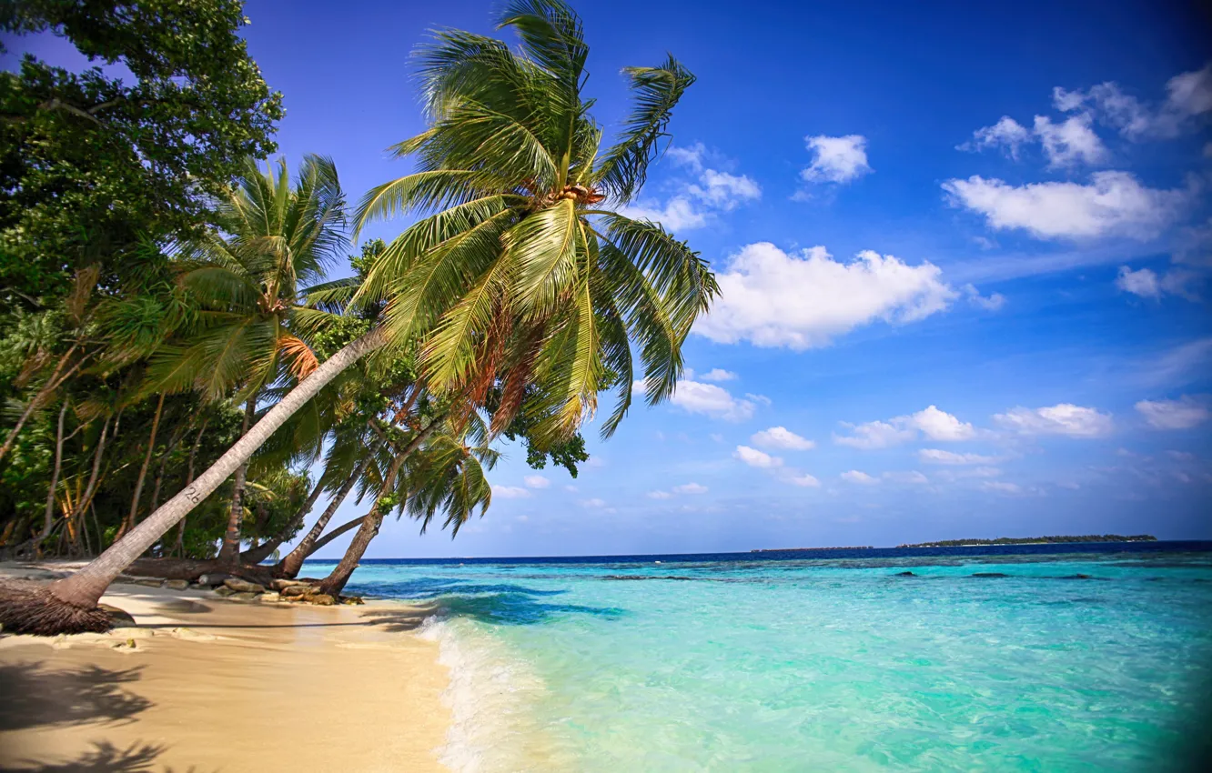 Photo wallpaper sea, beach, water, nature, palm trees, beauty