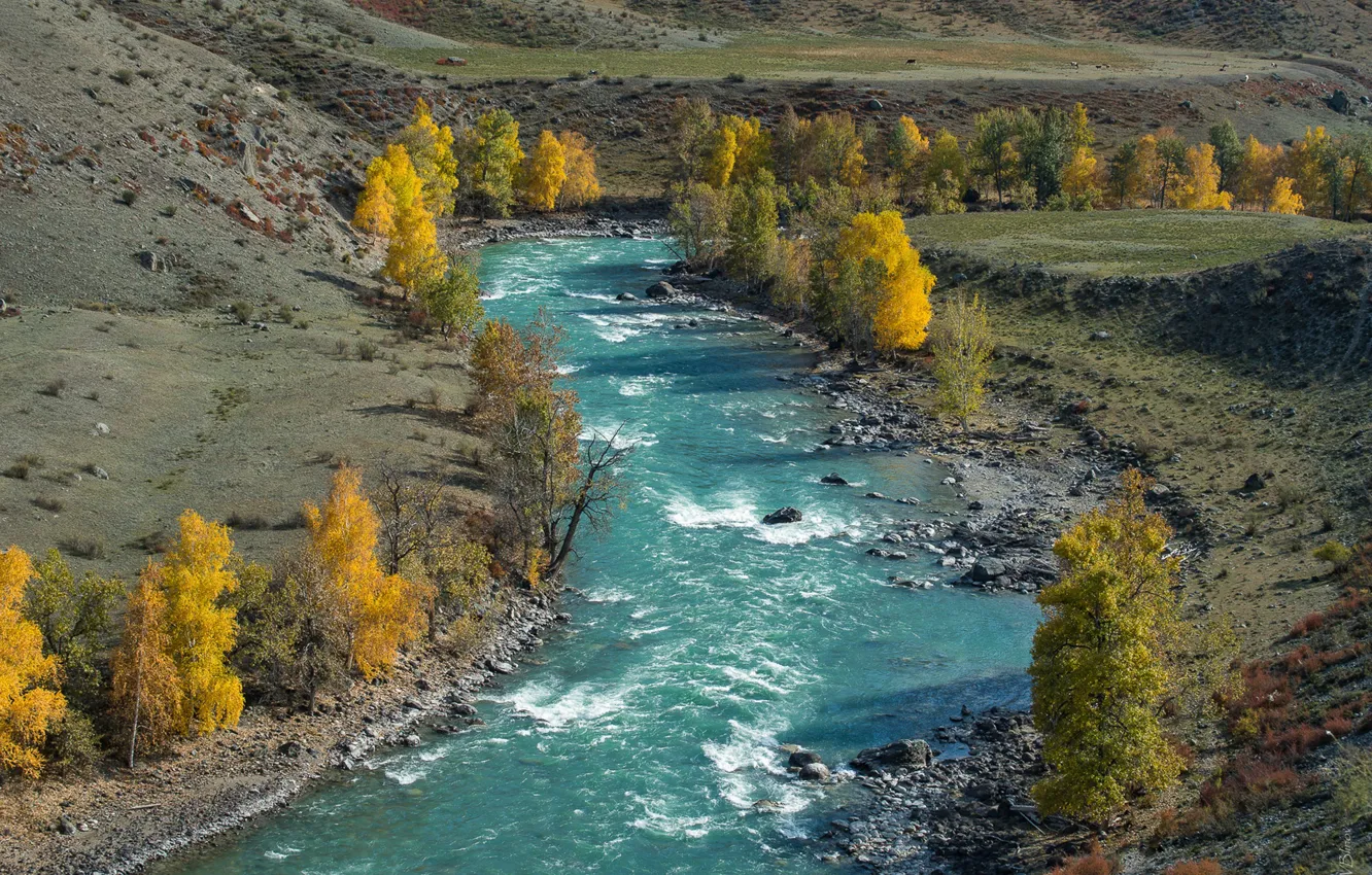 Photo wallpaper river, Altay, Sensing