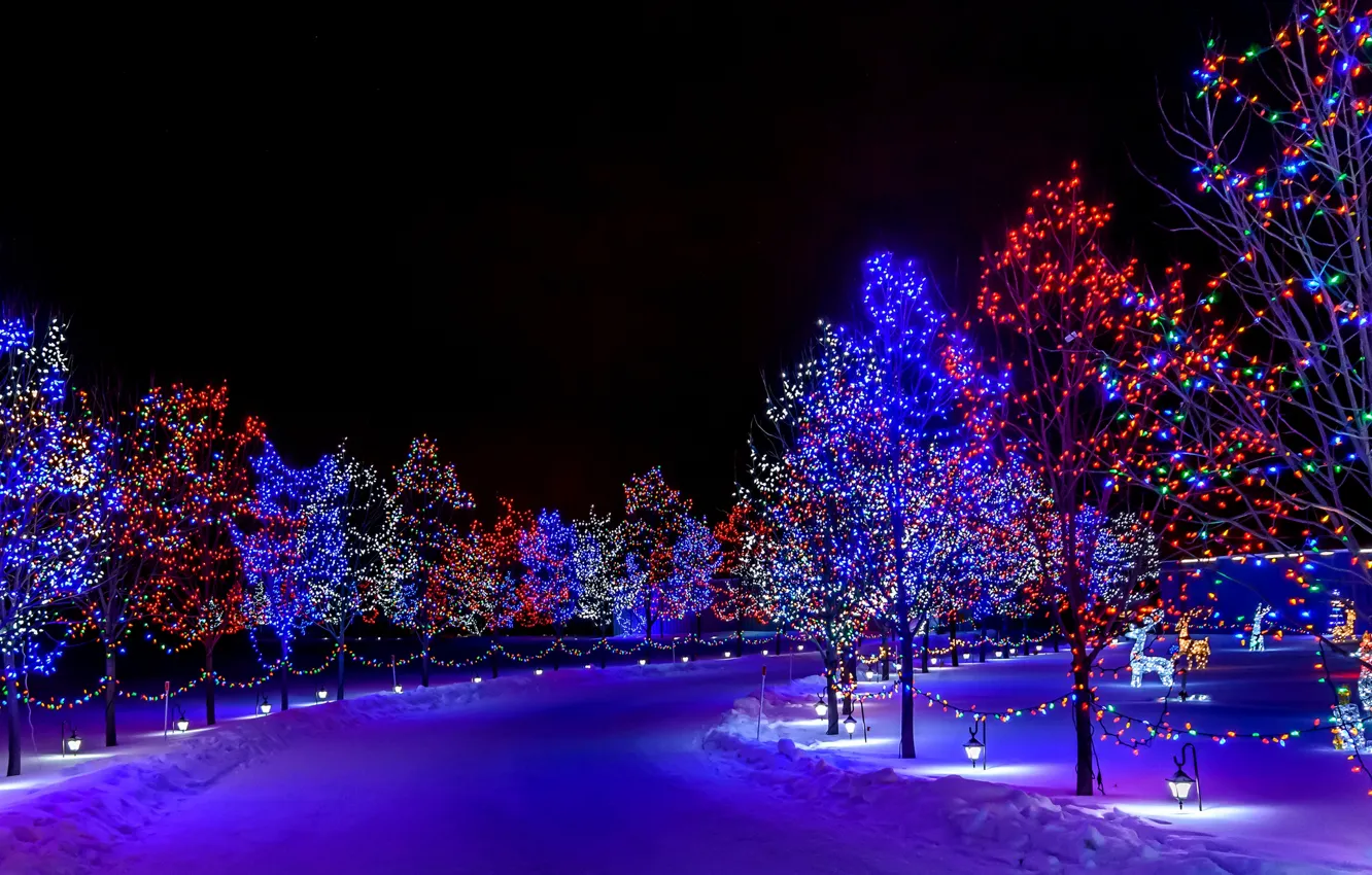 Photo wallpaper winter, snow, decoration, trees, night, lights, lights, holiday