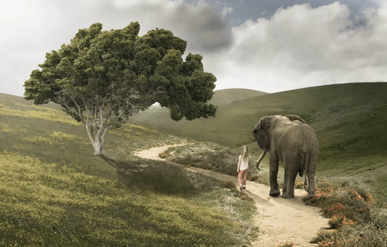 Photo wallpaper road, elephant, girl