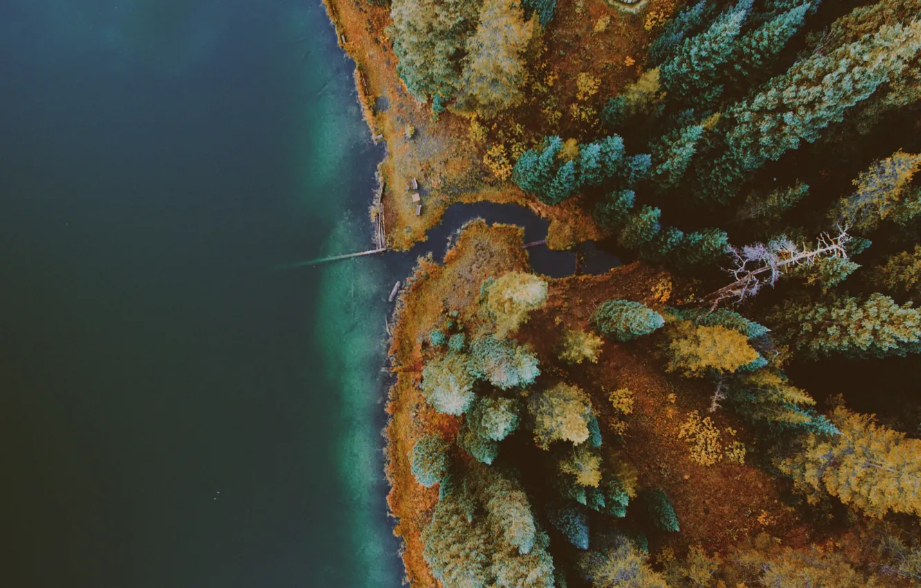 Photo wallpaper forest, water, trees, nature, the view from the top