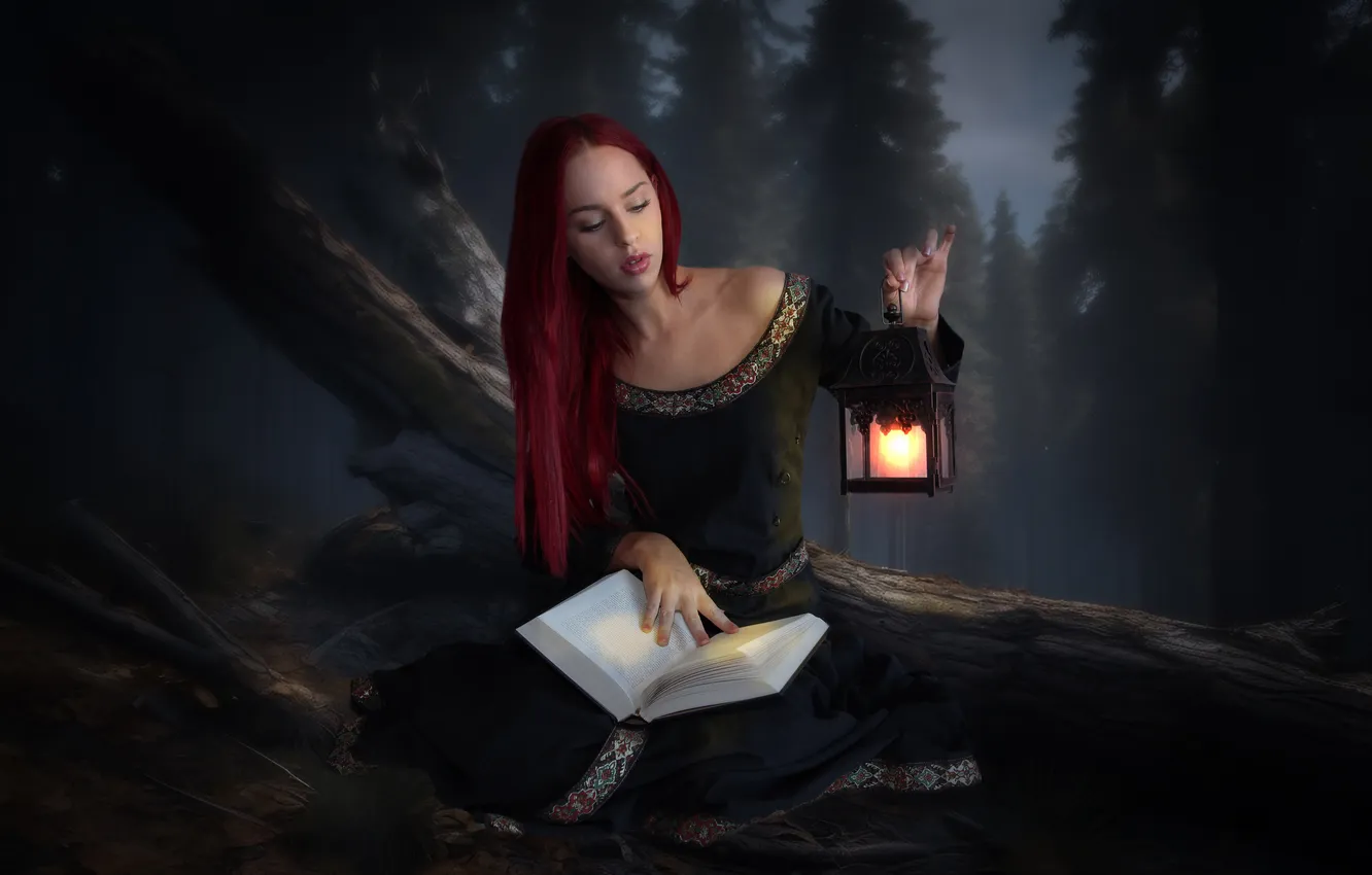 Photo wallpaper forest, trees, magic, twilight, the evening, lantern, book, witch
