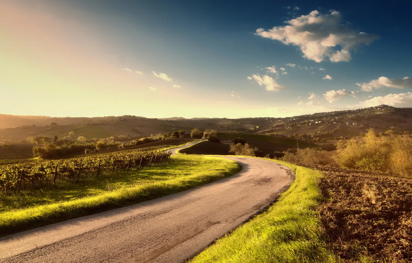 Photo wallpaper road, summer, landscape