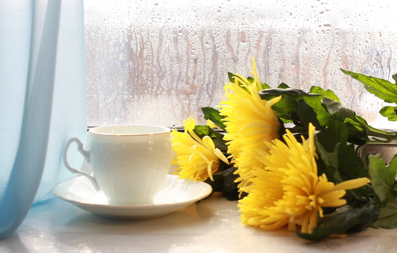 Photo wallpaper flowers, window, Cup