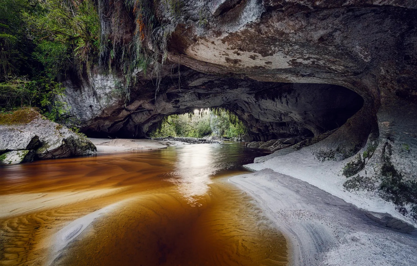 Photo wallpaper shore, the grotto, hole, arch, pond, view, arch, vegetation