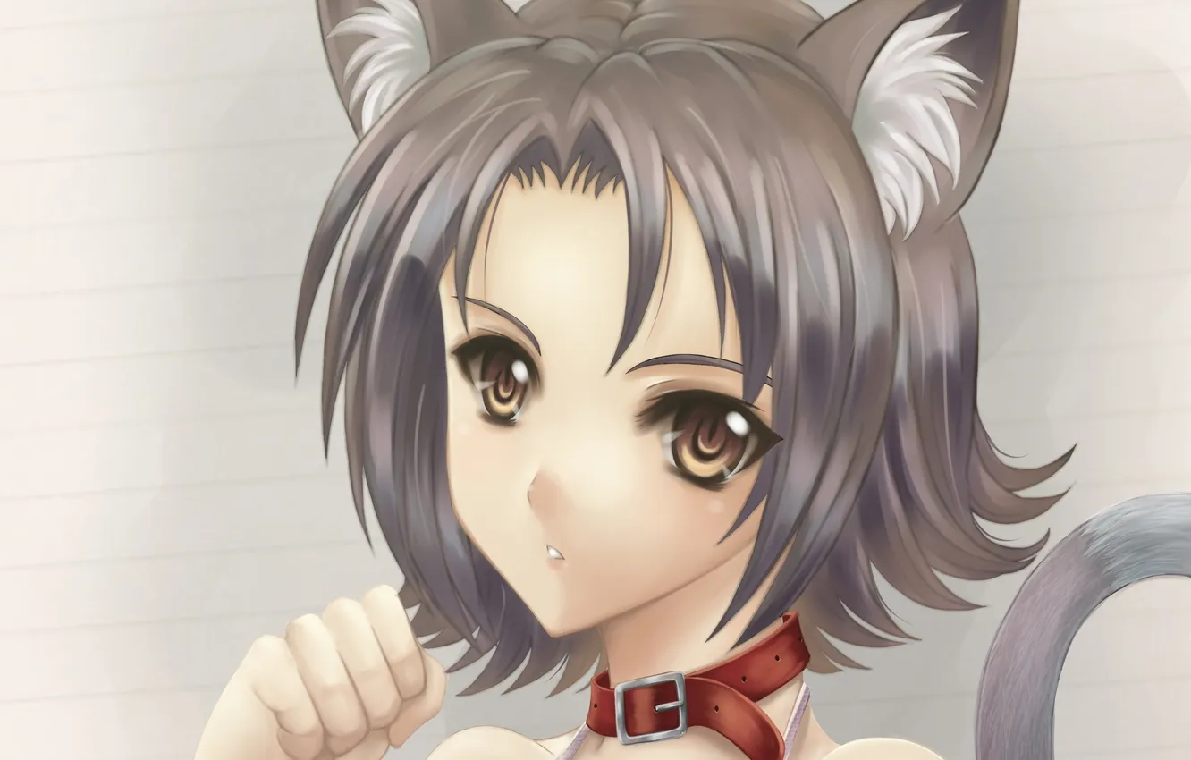 Photo wallpaper look, girl, background, tail, collar, neko, ears, art