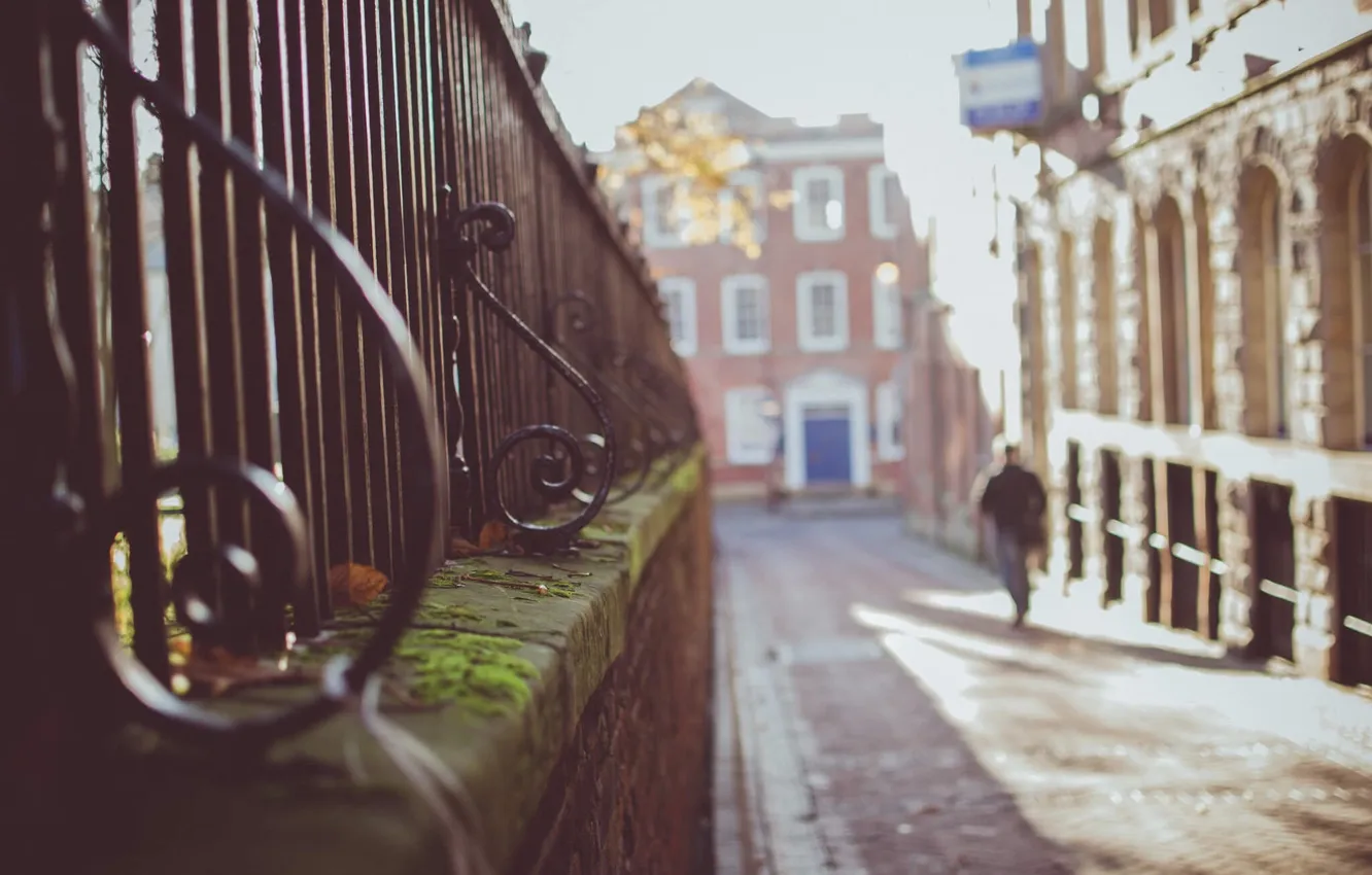 Photo wallpaper street, moss, fence
