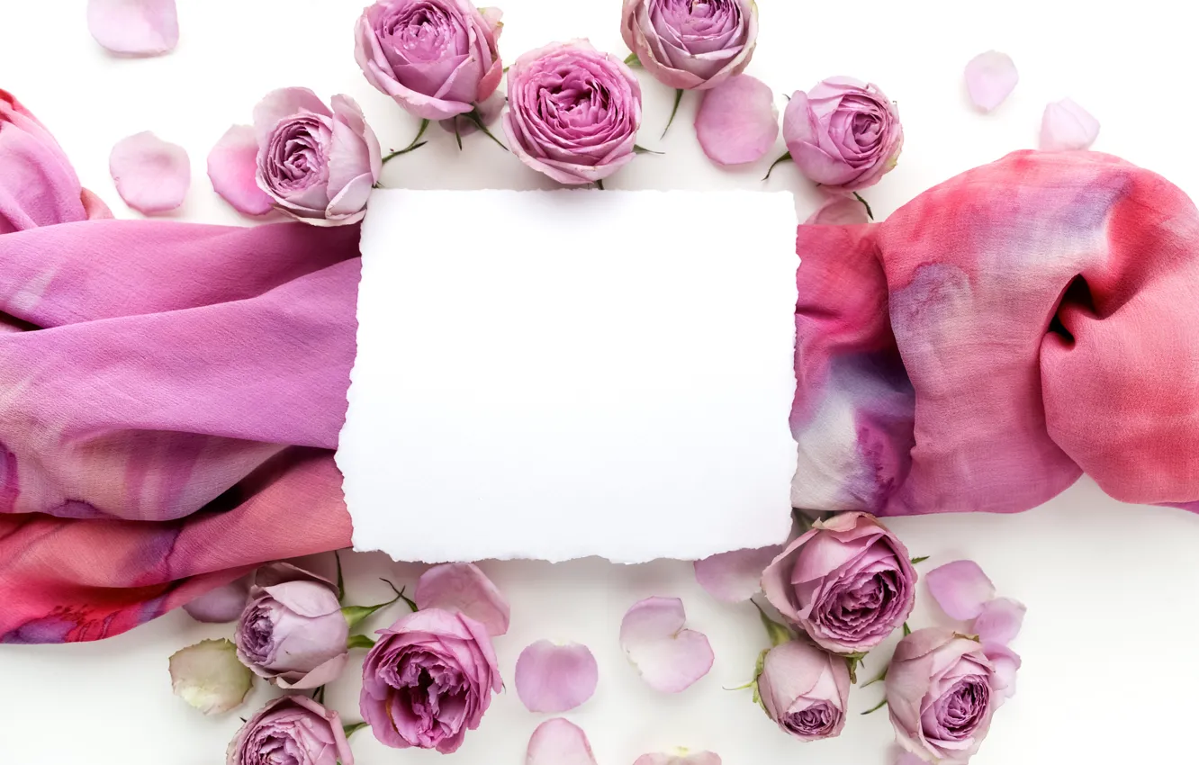 Photo wallpaper roses, buds, pink, flowers, romantic, roses