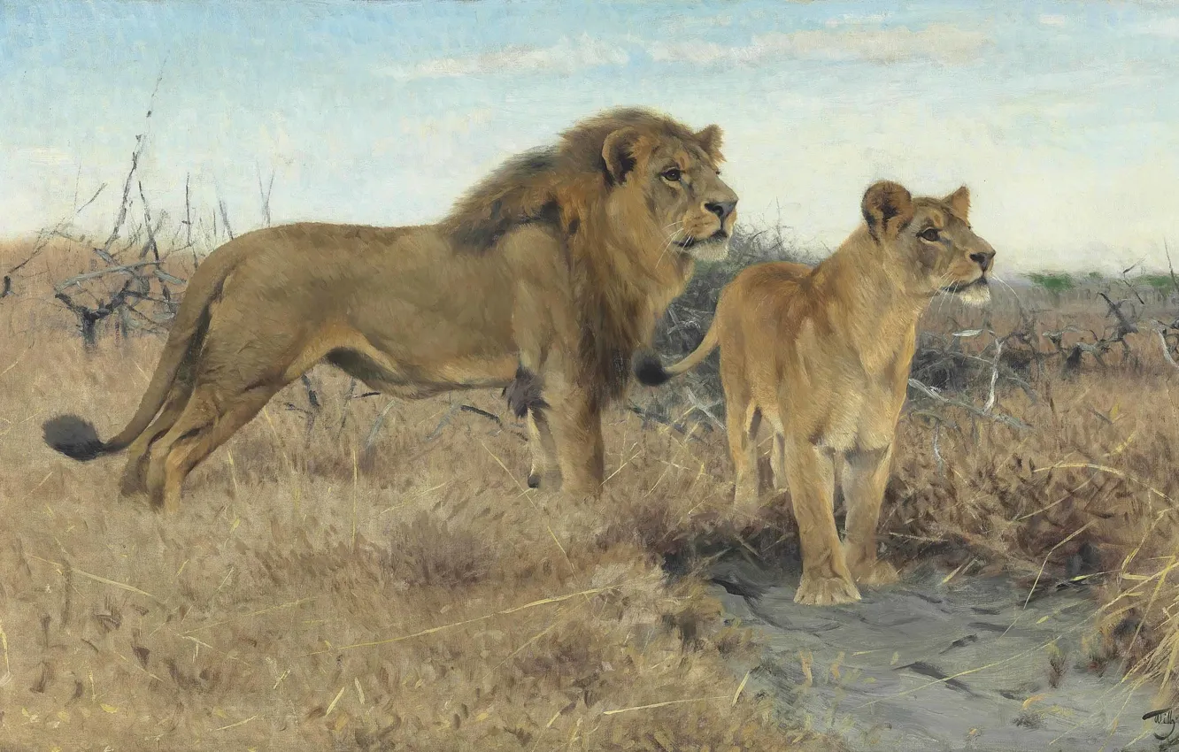 Photo wallpaper 1922, German painter, Friedrich Wilhelm Kunert, German painter, Friedrich Wilhelm Kuhnert, Lions on the African …