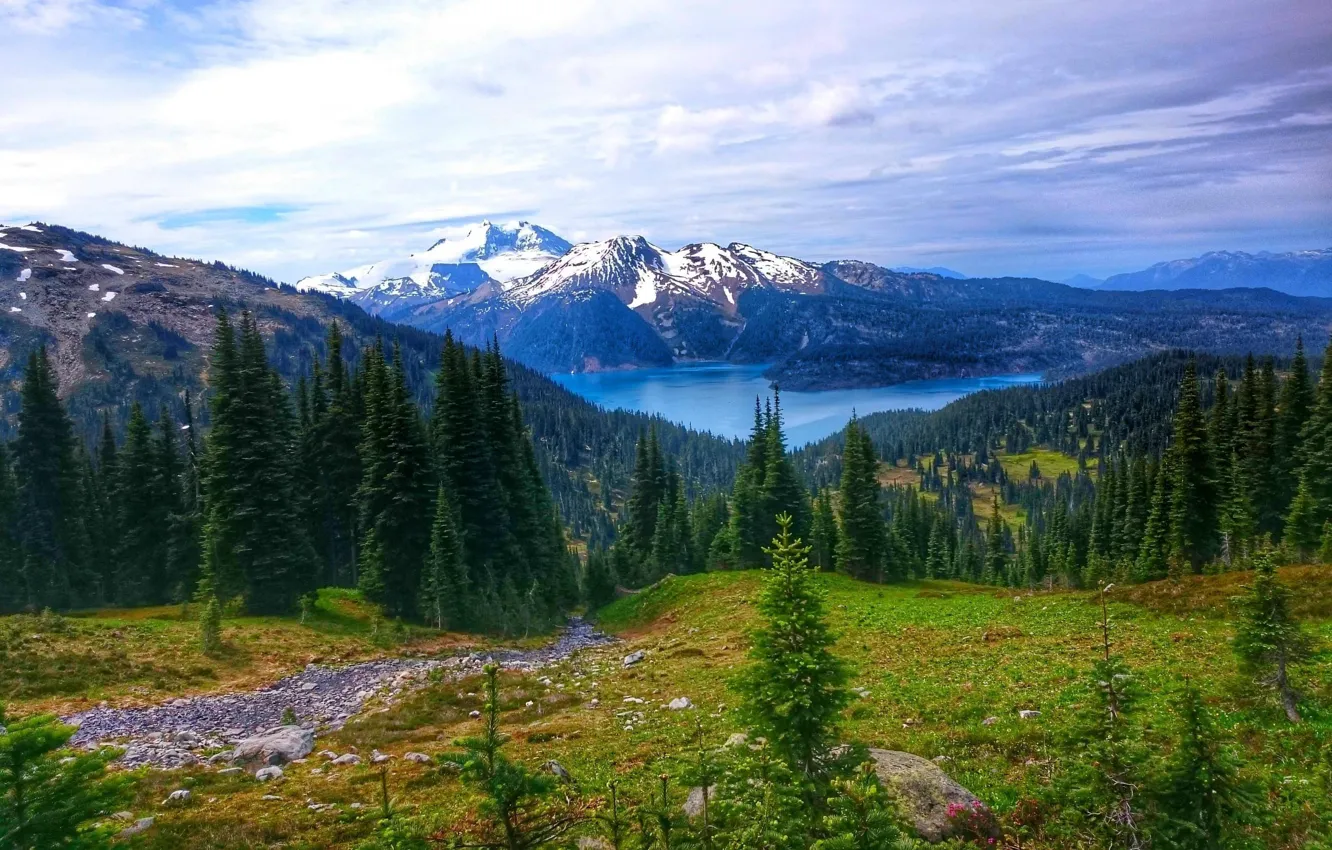 Photo wallpaper forest, view, mountain, lake, Garibaldi Lake, peak