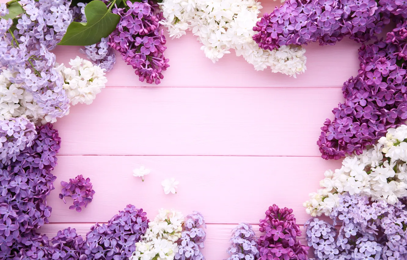 Photo wallpaper flowers, background, wood, flowers, lilac, purple, lilac