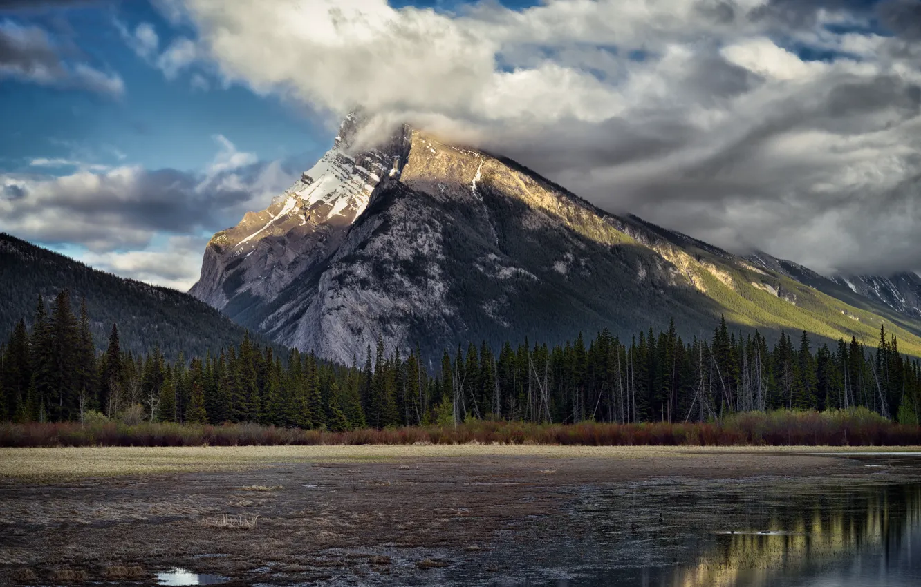 Photo wallpaper forest, clouds, landscape, mountains, nature, tops