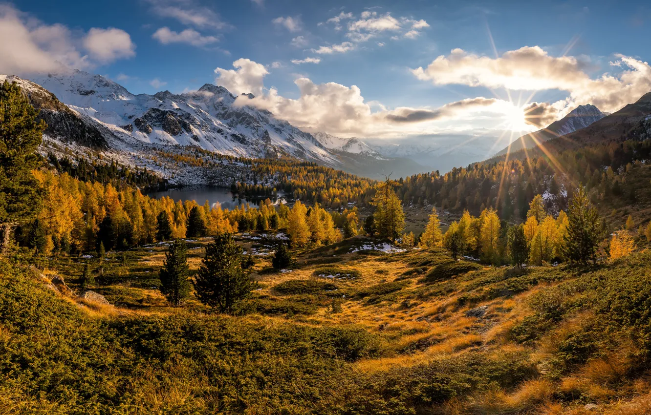 Photo wallpaper autumn, forest, mountains, Switzerland, valley, Alps, Switzerland, Alps