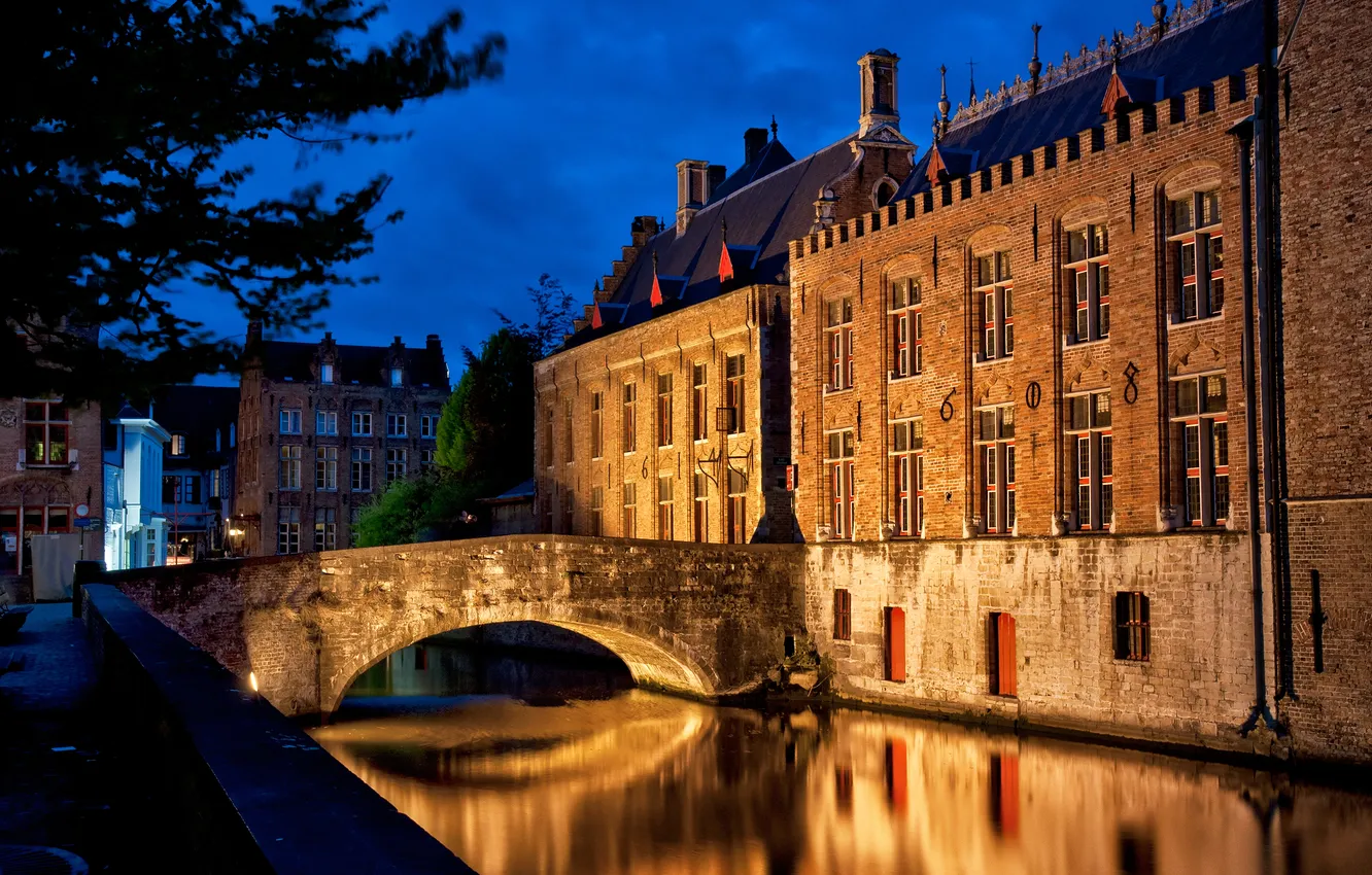 Photo wallpaper the sky, trees, landscape, night, bridge, city, the city, lights