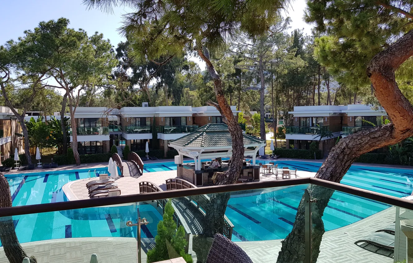 Photo wallpaper water, calm, bar, pool, the hotel, pine