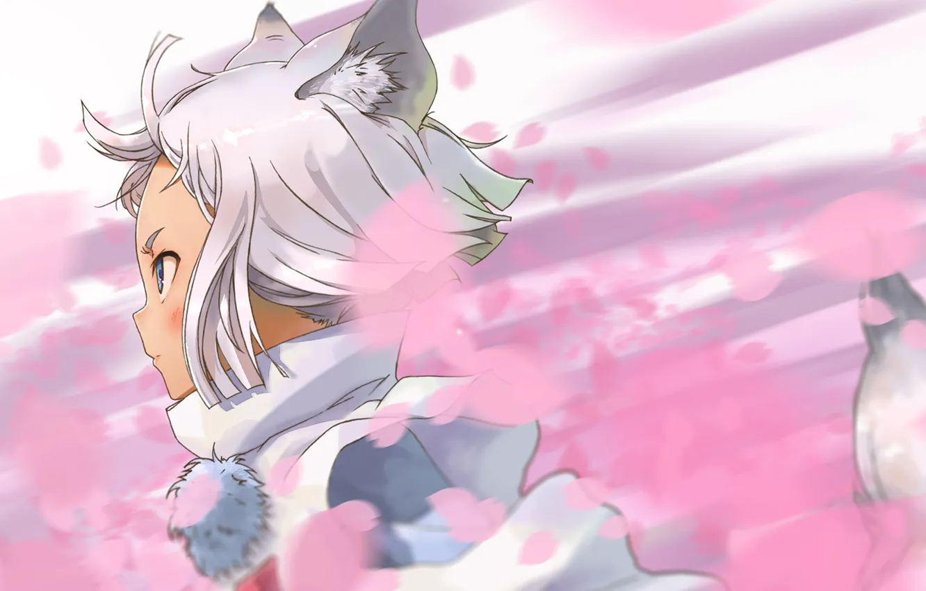 Photo wallpaper petals, girl, Fox, Tokyo Ravens, Kon